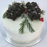 Christmas Cake -  Chocolate Pinecone Cake